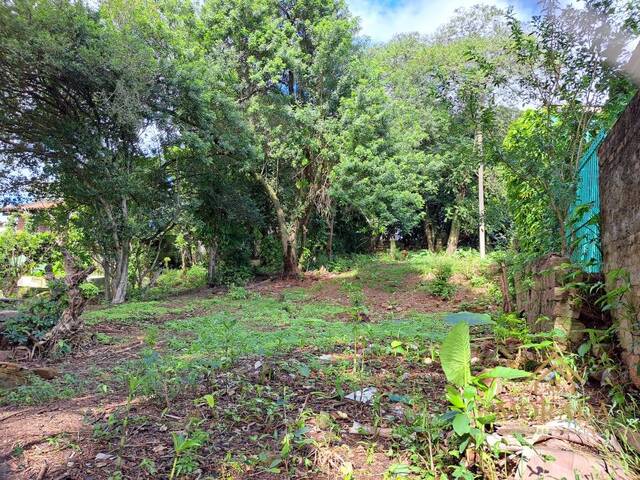 #118 - Área para Venda em Porto Alegre - RS