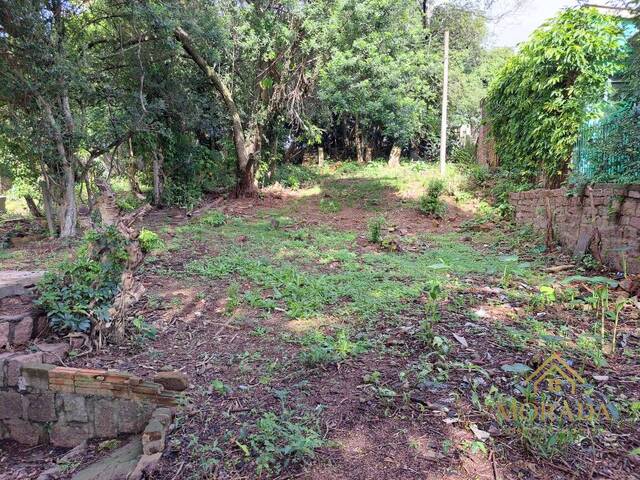 Área para Venda em Porto Alegre - 4