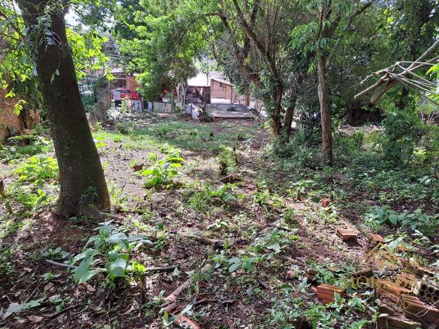 Área para Venda em Porto Alegre - 5