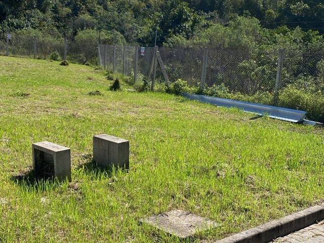 Área para Venda em Porto Alegre - 5