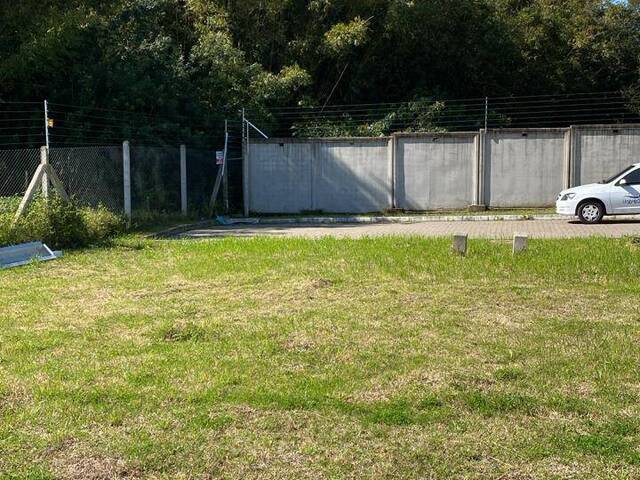 Área para Venda em Porto Alegre - 4