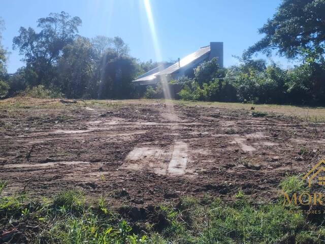 #185 - Área para Venda em Porto Alegre - RS