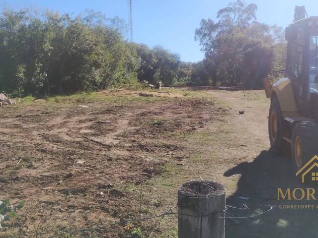 Área para Venda em Porto Alegre - 4