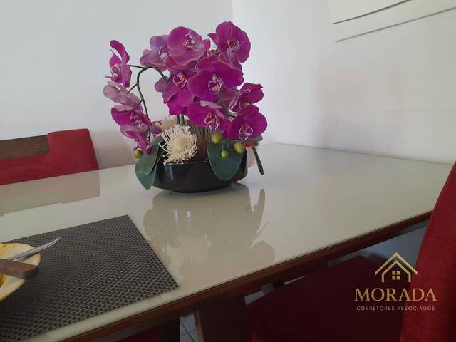 Apartamento para Venda em Porto Alegre - 3