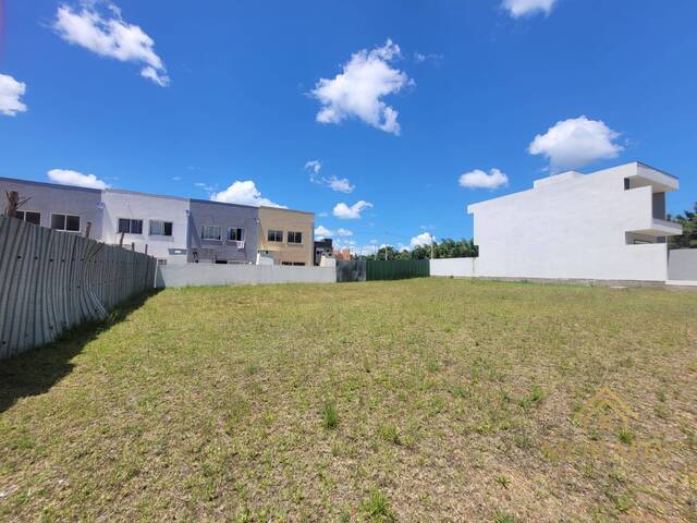 #284 - Área para Venda em Porto Alegre - RS - 3