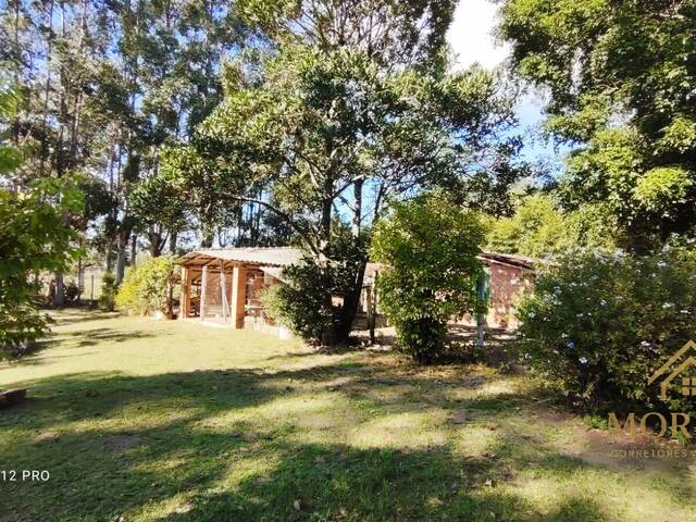 #545 - Sítio para Venda em Porto Alegre - RS - 3