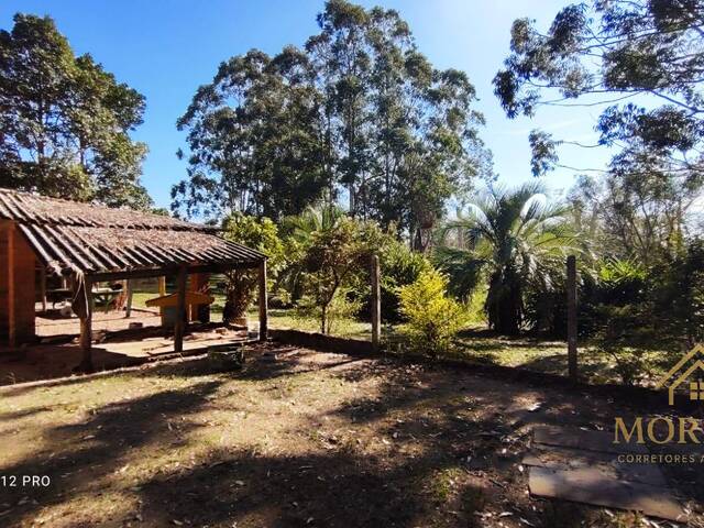 Sítio para Venda em Porto Alegre - 5