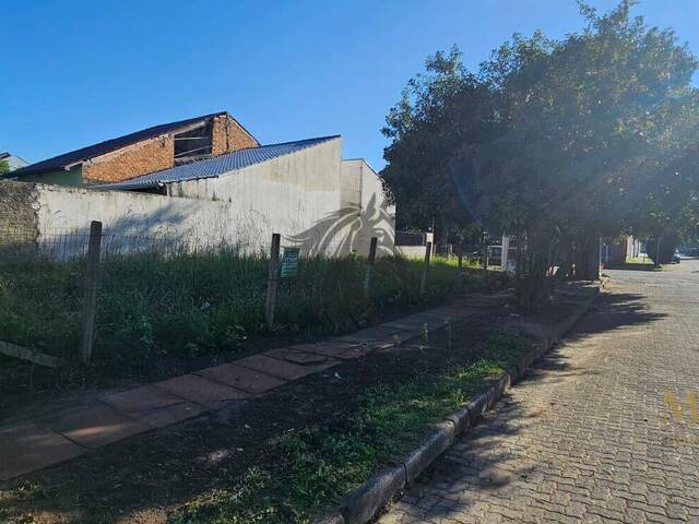 Área para Venda em Porto Alegre - 4