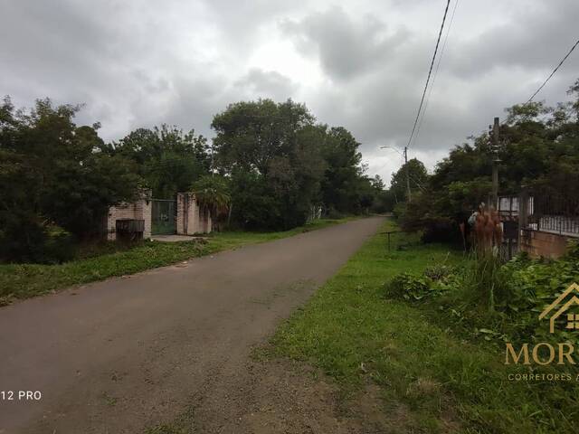 Terreno para Venda em Porto Alegre - 3