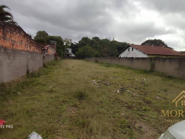 Terreno para Venda em Porto Alegre - 5