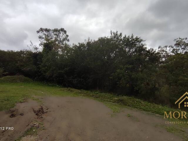 Terreno para Venda em Porto Alegre - 4