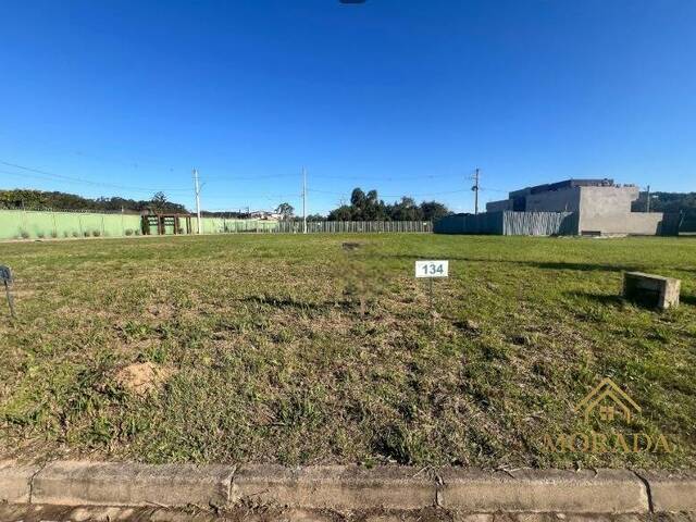 #582 - Área para Venda em Porto Alegre - RS - 1