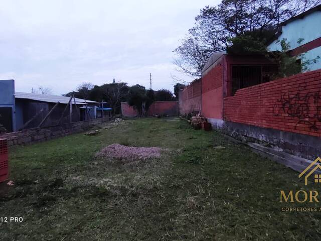 #586 - Terreno para Venda em Porto Alegre - RS - 2