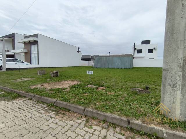 Área para Venda em Porto Alegre - 4