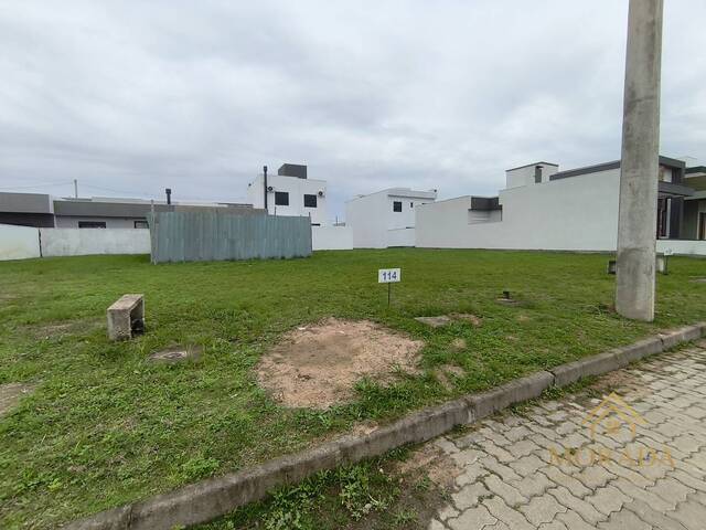 Área para Venda em Porto Alegre - 5