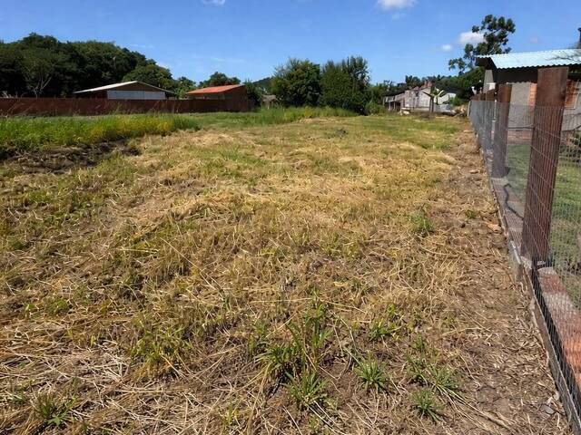 #595 - Área para Venda em Porto Alegre - RS - 1
