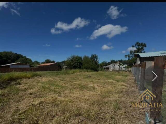 Área para Venda em Porto Alegre - 4